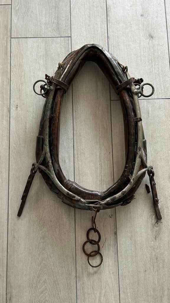 Antiek paardenhoofdstel, Ophalen, Gebruikt, Recreatie