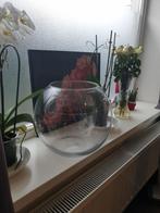vissenkom, Ophalen of Verzenden, Gebruikt, Leeg aquarium