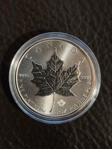 Platina Maple Leaf 1 oz 2022 beschikbaar voor biedingen