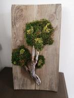 Decoratie mos paneel, Ophalen of Verzenden, Nieuw, Binnen