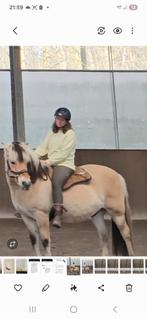 Bareback pad Best Friend, Ophalen of Verzenden, Gebruikt, Recreatie