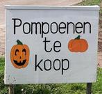 Pompoenen en kalebassen te koop., Ophalen, Zo goed als nieuw