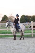 🐴✨ Super schattige allround pony✨🐴, Dieren en Toebehoren, Pony's, Merrie, Zadelmak, Gechipt, B pony (1.17m tot 1.27m)