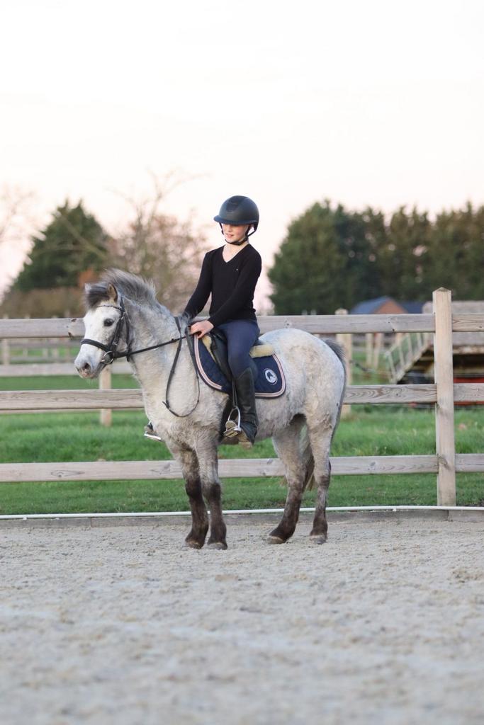 🐴✨ Super schattige allround pony✨🐴, Dieren en Toebehoren, Pony's, Merrie, Zadelmak, B pony (1.17m tot 1.27m), Recreatiepony