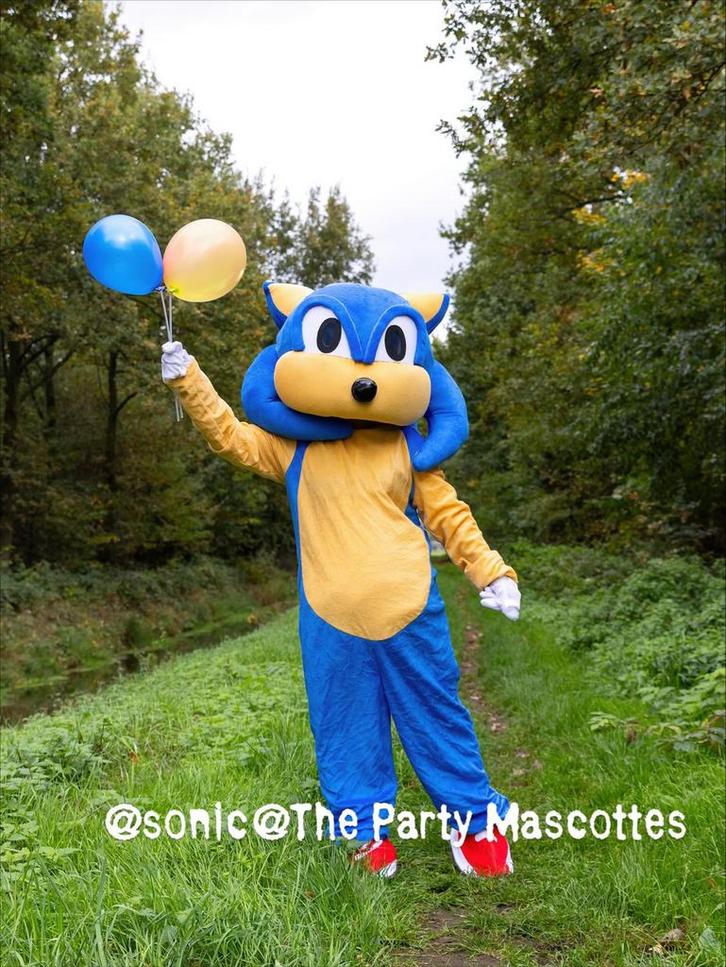 Sonic Mascotte te Huur - The Party Mascottes!, Hobby en Vrije tijd, Feestartikelen | Verhuur, Nieuw, Ophalen of Verzenden