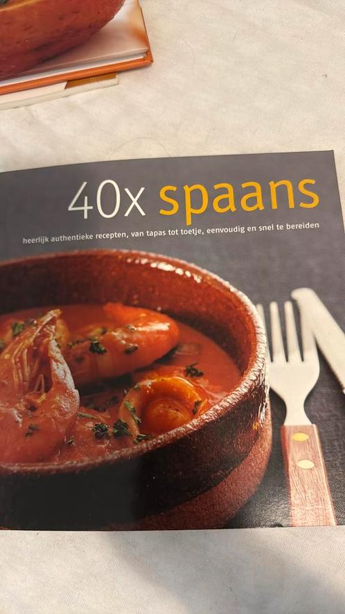 A.L. Kruyd - Aneas - 40 x Spaans, Boeken, Kookboeken, Zo goed als nieuw, Ophalen of Verzenden