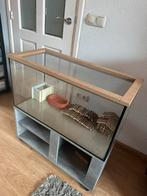 Hamsterkooi terrarium glas, Dieren en Toebehoren, Knaagdieren en Konijnen | Hokken en Kooien, Kooi, Zo goed als nieuw, 75 tot 110 cm