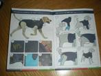 Medical pak shirt, zwart maat S operatie, Dieren en Toebehoren, Honden-accessoires, Ophalen of Verzenden, Nieuw