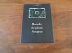 Borsele, de plaats Nergens - Chris van der Borgh e.a., Chris van der Borgh e.a., Ophalen of Verzenden, Zo goed als nieuw, Nederland