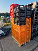 Kratten kratjes te koop