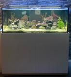 Aquaja 560L open aquarium met bioloog, Ophalen, Gebruikt, Gevuld zoetwateraquarium