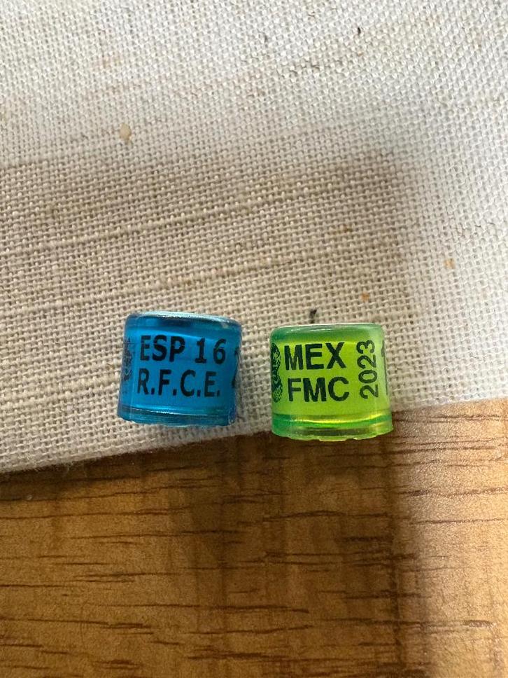 Duivenringen, Dieren en Toebehoren, Vogels | Duiven, Postduif