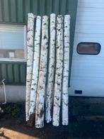 6 Decoratie Boomstammen Berken Zilverberken 240 lang, Ophalen, Zo goed als nieuw, 50 mm of meer, Balk