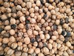 walnoten, Diversen, Ophalen