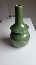 Vaas ptmd, Ophalen of Verzenden, Zo goed als nieuw, Groen, Minder dan 50 cm