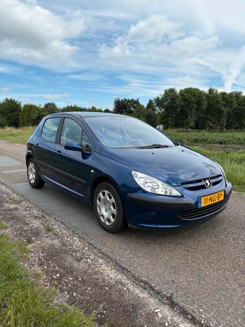 Peugeot 307 beschikbaar voor biedingen