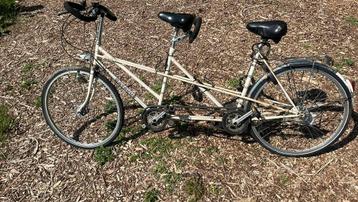 Degelijke batavus retro tandem wit beschikbaar voor biedingen