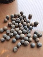 Musketkogels, Ophalen