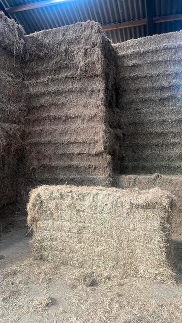 Hooi beschikbaar voor biedingen