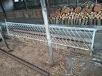 Voerhek Schapen Schapenvoerhek, Meerdere dieren, Schaap