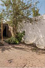 Zelf uitgraven: appelboom, planten, struiken, Tuin en Terras, Ophalen, Gebruikt