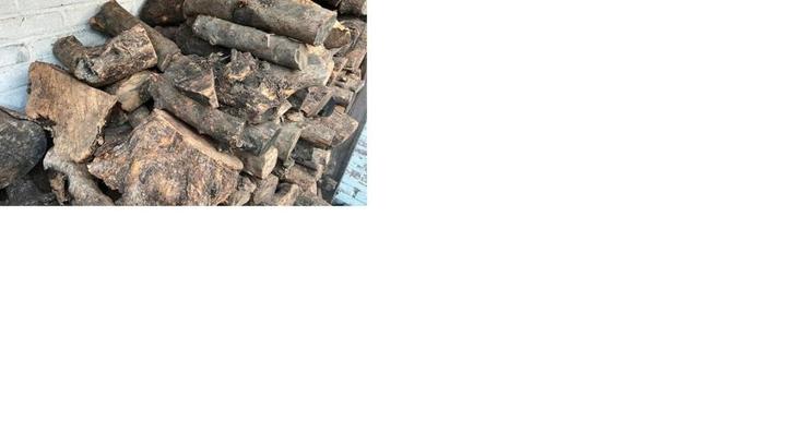 Gezocht: snoeihout, liefst stammetjes en flinke takken, Doe-het-zelf en Verbouw, Hout en Planken, Pallet, Overige houtsoorten