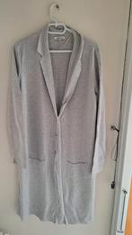 Vest lang van sandwich., Kleding | Dames, Ophalen of Verzenden, Zo goed als nieuw, Grijs