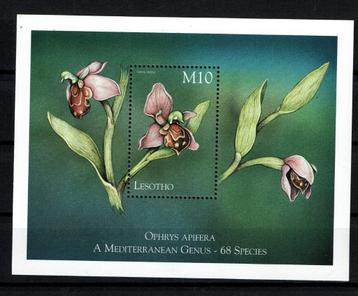 lesotho 1999 pf blok orchideeën bloemen orchids flowers beschikbaar voor biedingen