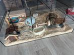 25€ voor ALLES! ZSM OPHALEN, Dieren en Toebehoren, 110 cm of meer, Ophalen, Minder dan 60 cm, Hok