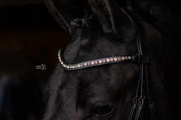 L'Anique Click&Go Frontriem Angel, Dieren en Toebehoren, Paarden en Pony's | Hoofdstellen en Tuigage, Nieuw, Dressuur, Ophalen of Verzenden