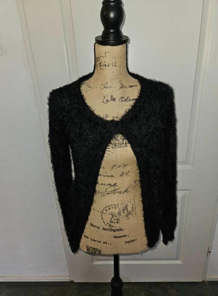 mooi vest maat 164   (c1, Kinderen en Baby's, Kinderkleding | Maat 164, Zo goed als nieuw, Meisje, Trui of Vest, Ophalen of Verzenden