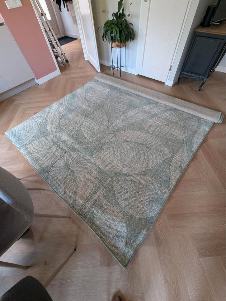 Vloerkleed Groen 225x330, Huis en Inrichting, Stoffering | Tapijten en Kleden, Gebruikt, 200 cm of meer, 200 cm of meer, Rechthoekig