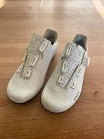 Fizik Tempo Decos Carbon Wide - Maat 39, Ophalen of Verzenden, Gebruikt, Kleding