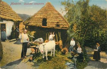 (701-282-007) Madeira Costume Campestre beschikbaar voor biedingen
