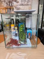 Superfish Qubiq 60 pro WIT, Ophalen, Gebruikt, Leeg aquarium