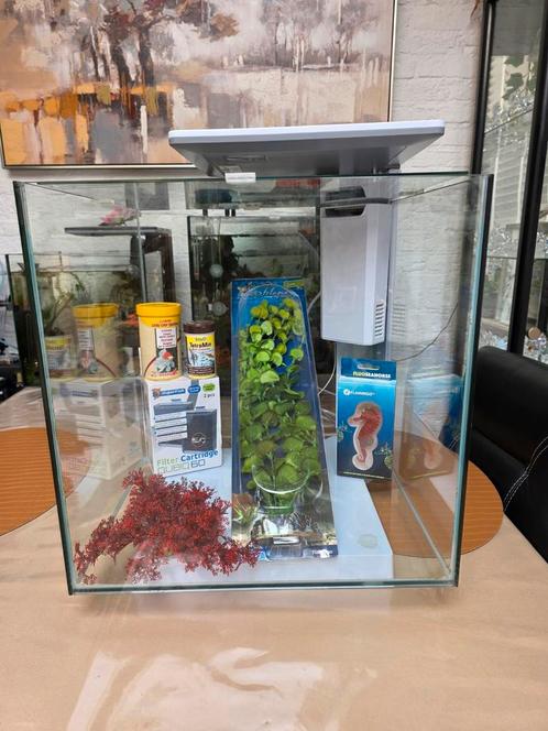 Superfish Qubiq 60 pro WIT, Dieren en Toebehoren, Vissen | Aquaria en Toebehoren, Gebruikt, Leeg aquarium, Ophalen