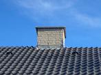 Inspectie dak, pannen, leien, riet, schoorsteen en goot., Garantie, Riet