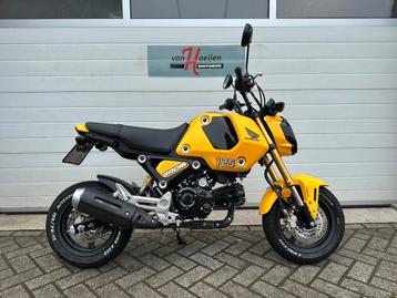 Honda MSX 125 GROM (bj 2022) beschikbaar voor biedingen