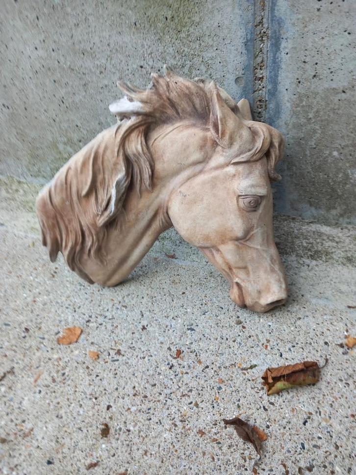 Beeld -Paardenhoofd- Ornament, Dieren en Toebehoren, Reptielen en Amfibieën, 0 tot 2 jaar