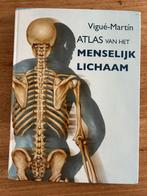 Atlas van het Menselijk Lichaam - Vigúe-Martín, Boeken, Encyclopedieën, Ophalen of Verzenden, Gelezen, Medisch, Los deel