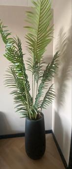 Pot met plant Dubbelman Design, Ophalen of Verzenden, Zo goed als nieuw