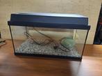 JUWEL AQUARIUM 60x30 CM, Dieren en Toebehoren, Ophalen, Gebruikt, Leeg aquarium