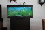aquarium JUWEL  100 X 40 cm Met meubel, Zo goed als nieuw, Ophalen, Leeg aquarium