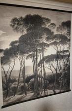 Decoratieve Wanddecoratie met Bomen, Ophalen of Verzenden, Natuur en Biologie