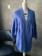 Lavendel blauw lang vest van Hailys maat ML, Maat 38/40 (M), Blauw, Ophalen of Verzenden, Hailys