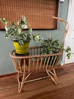 Vintage rotan plantenbak / poppenwiegje, Overige materialen, .., Binnen, Minder dan 60 cm