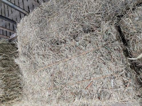 Biologisch hooi, Dieren en Toebehoren, Stalling en Weidegang