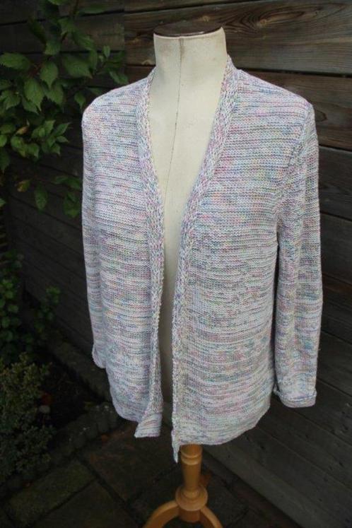 Vest gekleurd Gerry Weber mt L Vaste prijs, Kleding | Dames, Truien en Vesten, Zo goed als nieuw, Maat 42/44 (L), Overige kleuren
