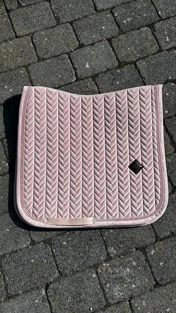 Kentucky dekje beschikbaar voor biedingen