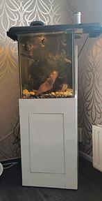 Aquarium met toebehoren en vissen, Dieren en Toebehoren, Ophalen, Gebruikt, Overige typen